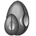 Egg Shot