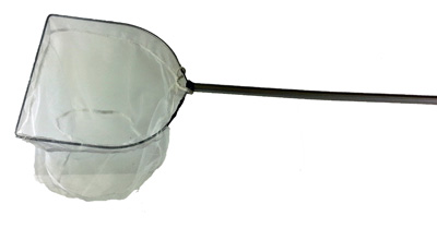 SHRIMP NET